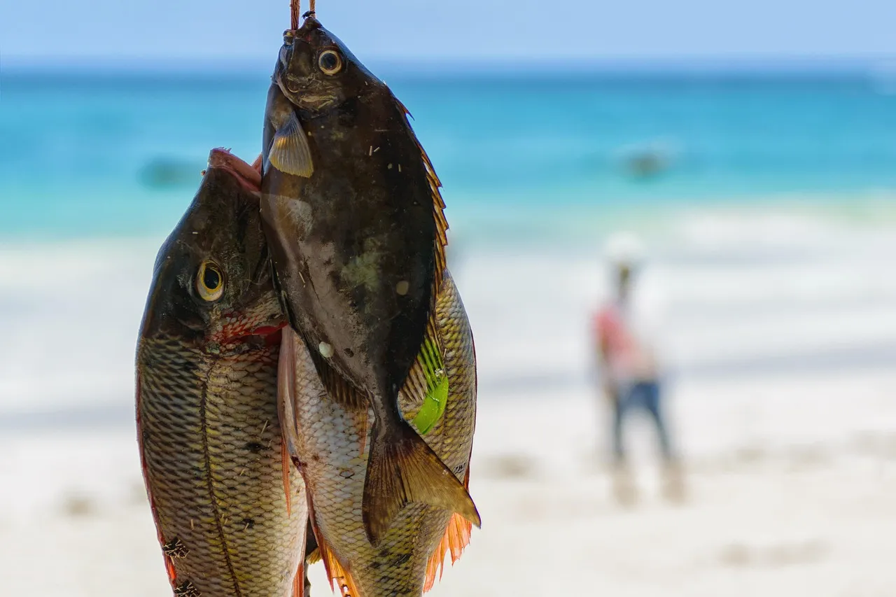 Several Injured as Rival Groups Clash Over Fishing Rights in Lake Naivasha