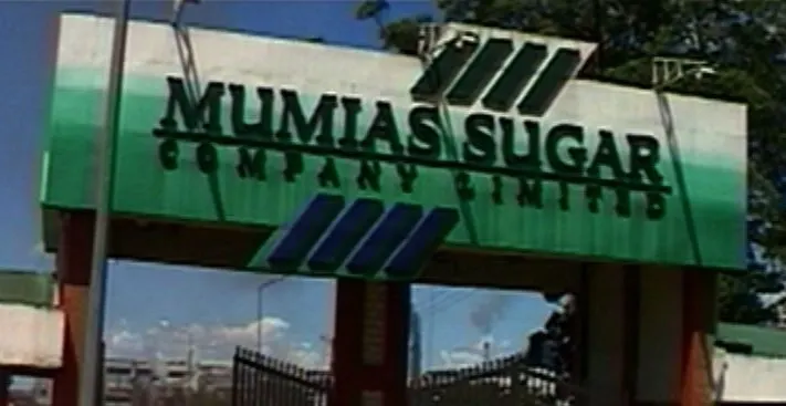 Government Shielding Cane Poachers Leading to Mumias Sugar Closure